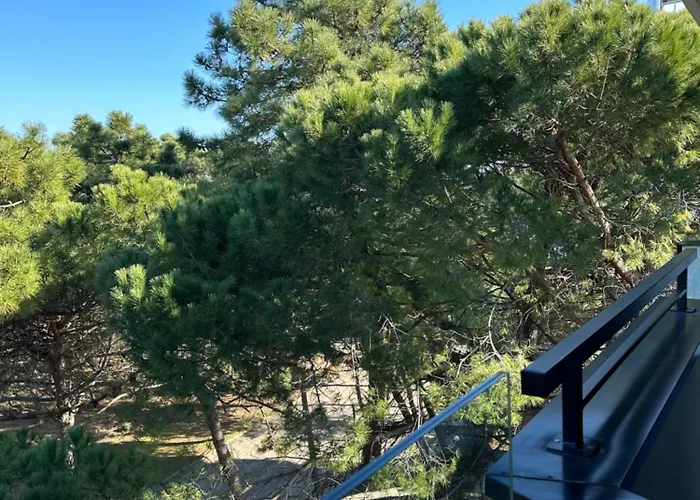 Lux Mima 3* Milano Marittima