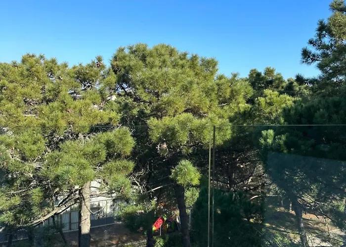 Lux Mima Milano Marittima